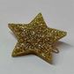 Star Hairclips, Magnets and Brooches