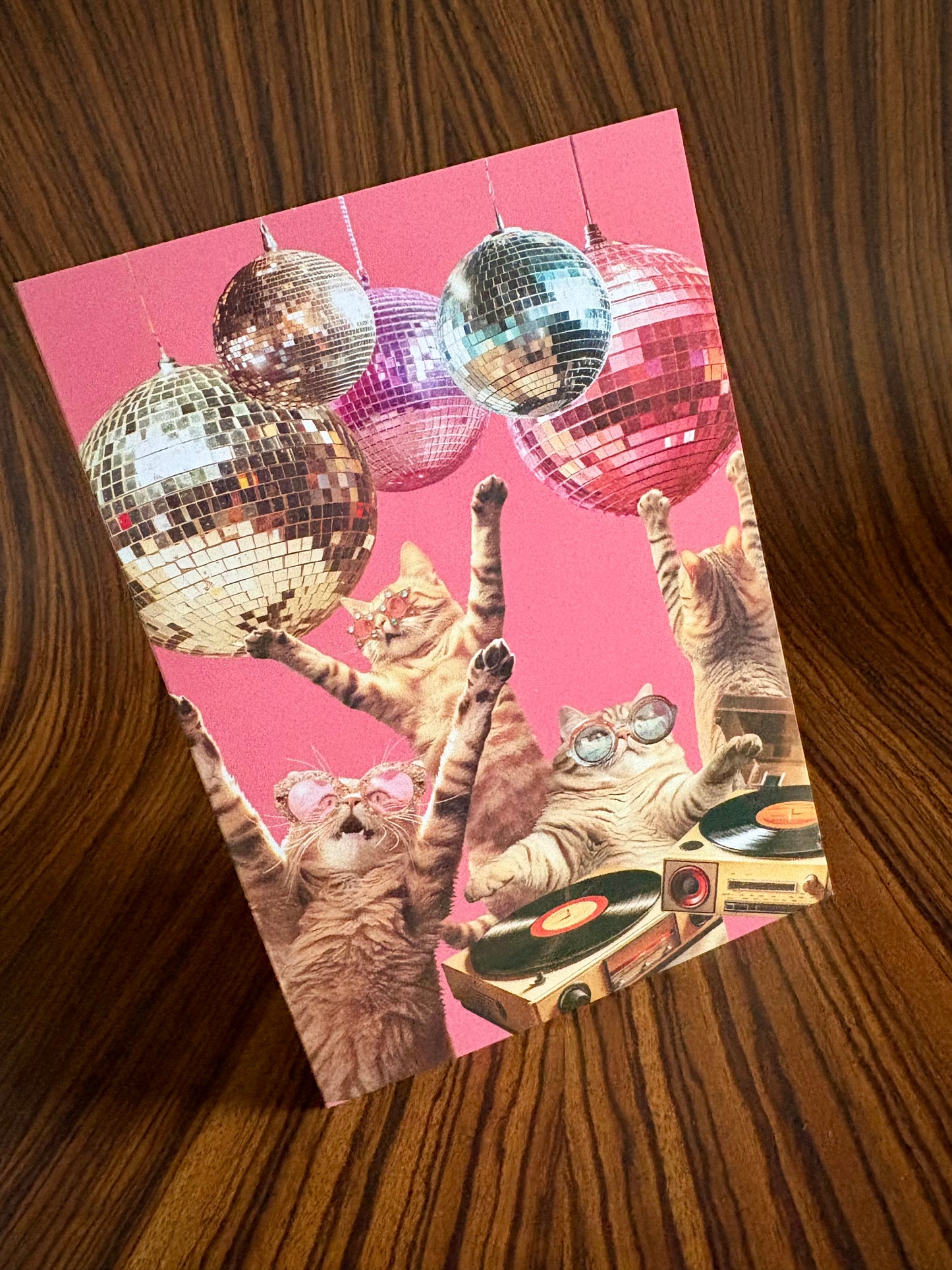 Disco Cats Party Greeting Card