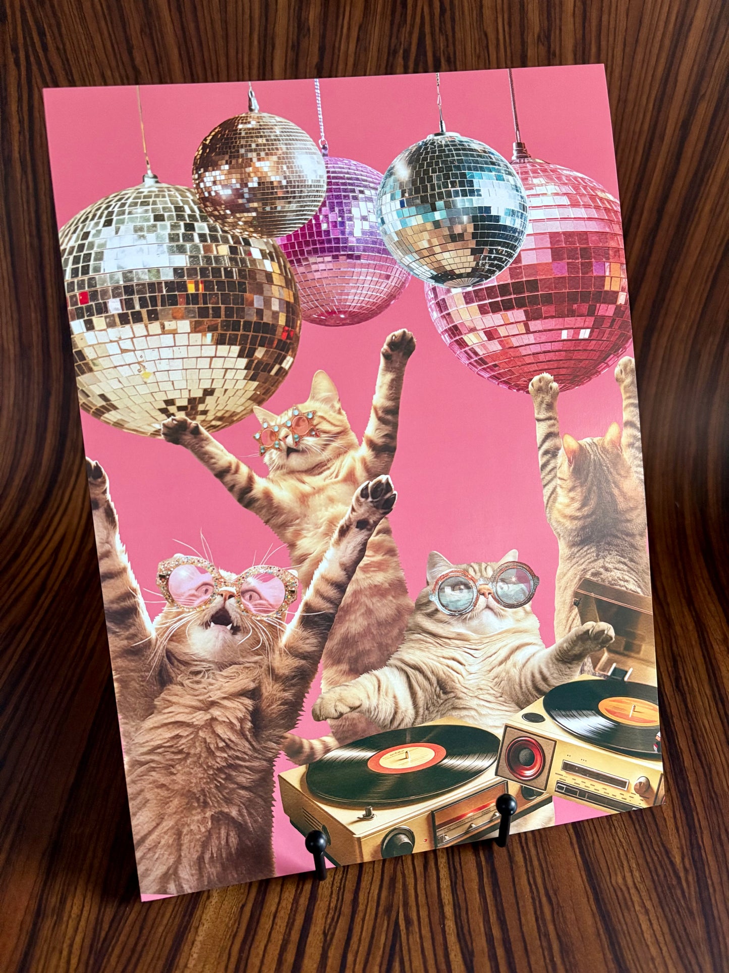 Disco Cats Party A4 Art Print