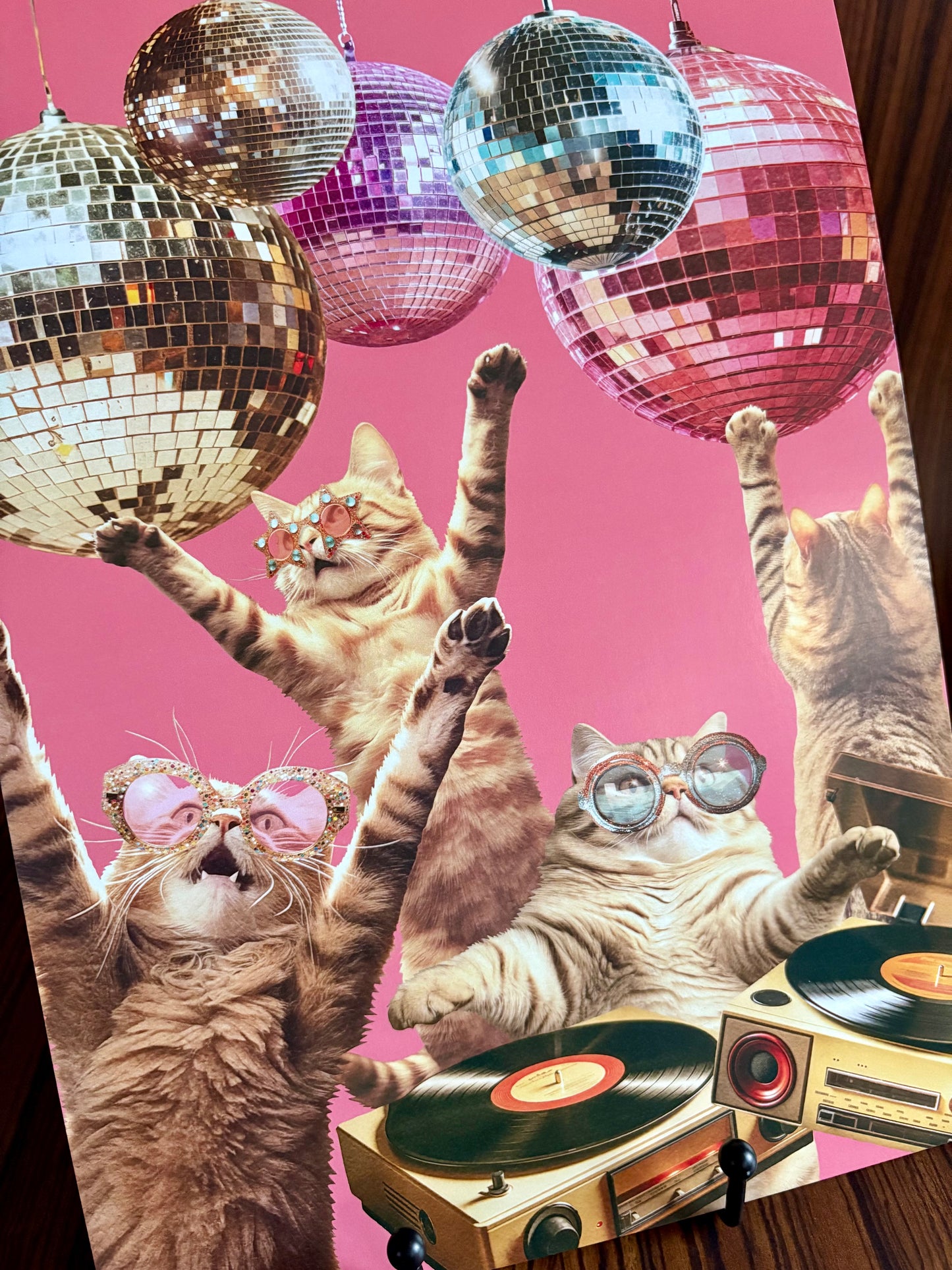 Disco Cats Party A4 Art Print