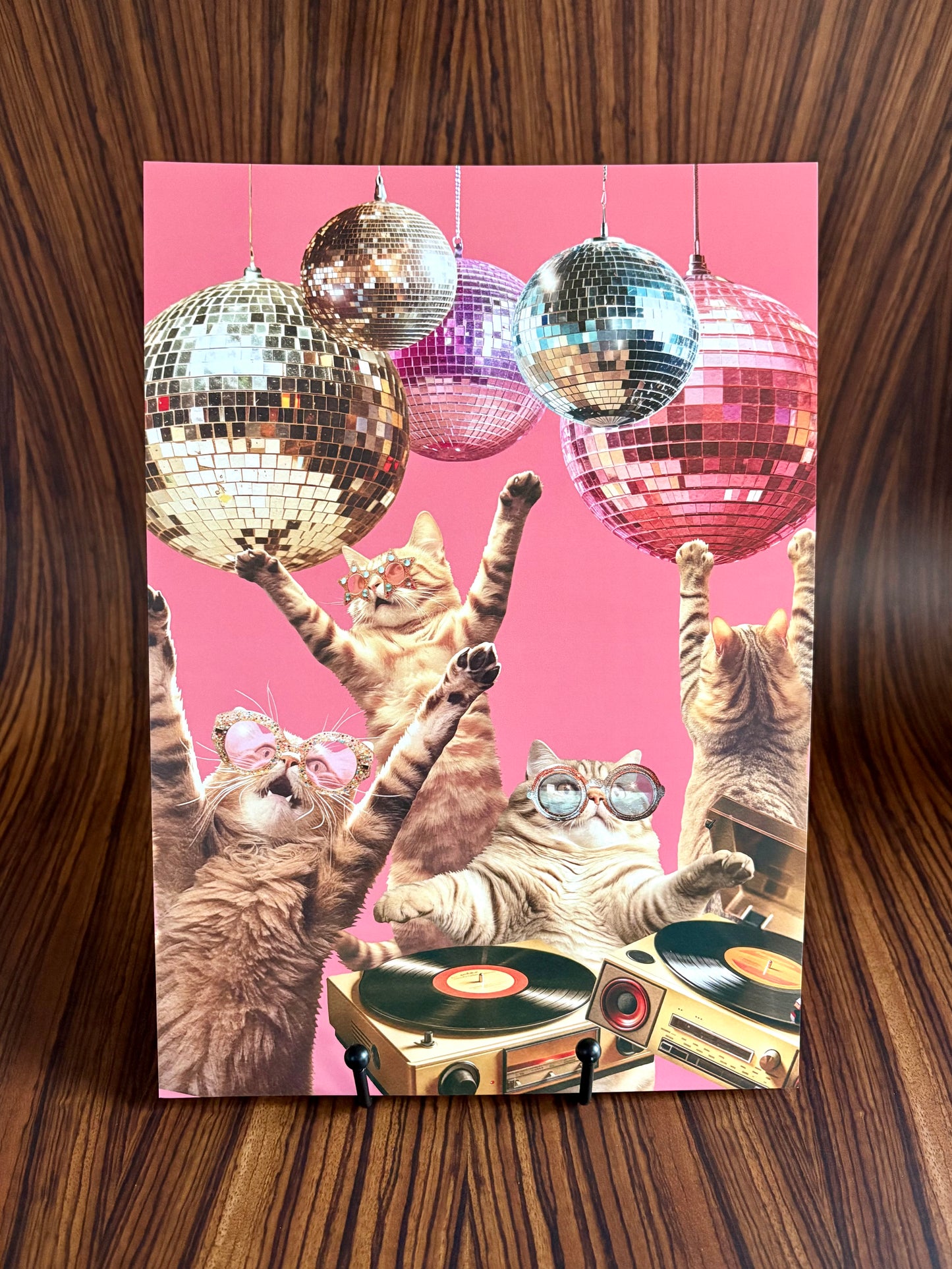 Disco Cats Party A4 Art Print